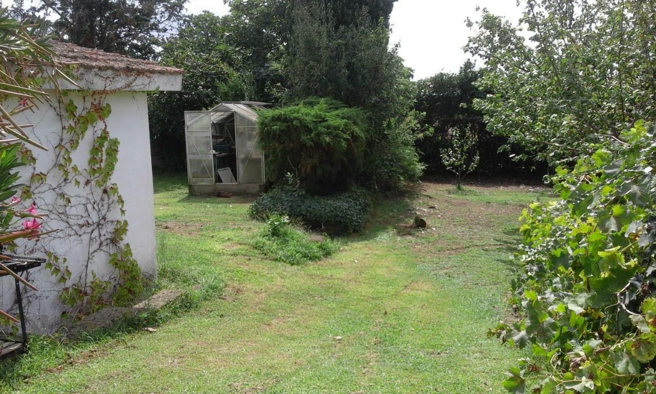 Poderi Di Tragliatella Exteriér fotografie